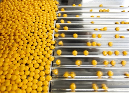Humidification dans l'industrie pharmaceutique