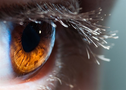 L'air sec et nos yeux 