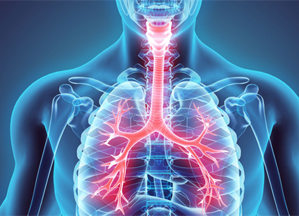 Faible humidité de l'air = Plus de cas de grippe 