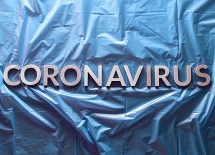 Etude sur la survie du Coronavirus en surface. Lisa Casanova - Publication mars 2020